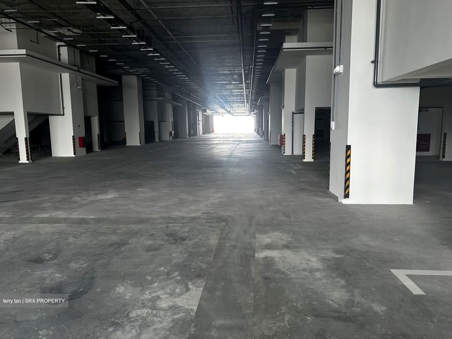 FOOD ASCENT (D22), Factory #580583201